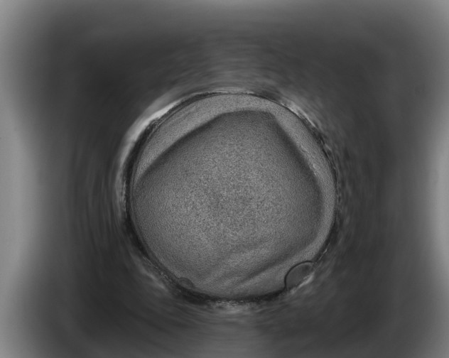 X0000086320343200704202026