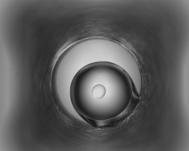 X0000086320344200704202026