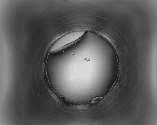 X0000086320345200704202026