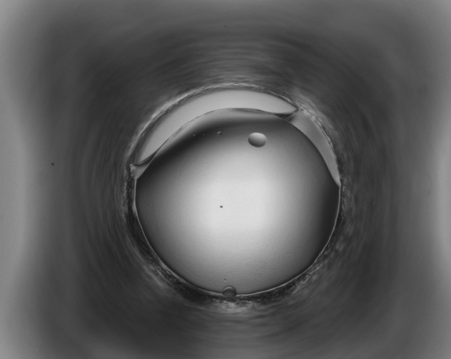 X0000086320346200704202026