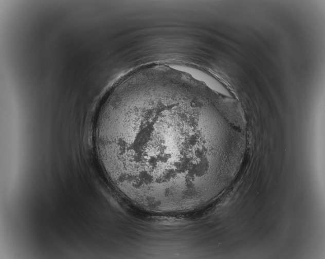 X0000086320347200704202026