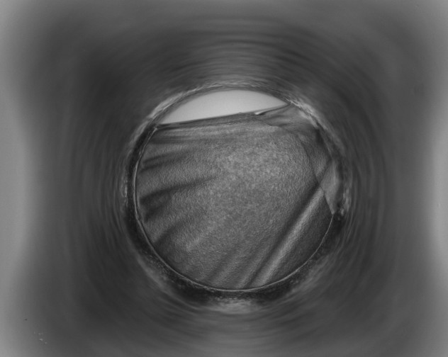 X0000086320348200704202026