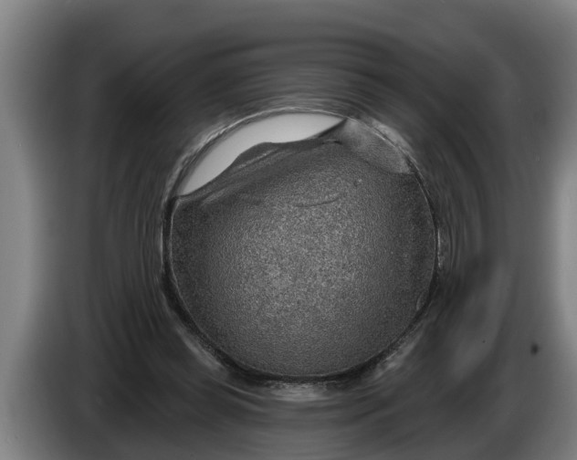 X0000086320349200704202026