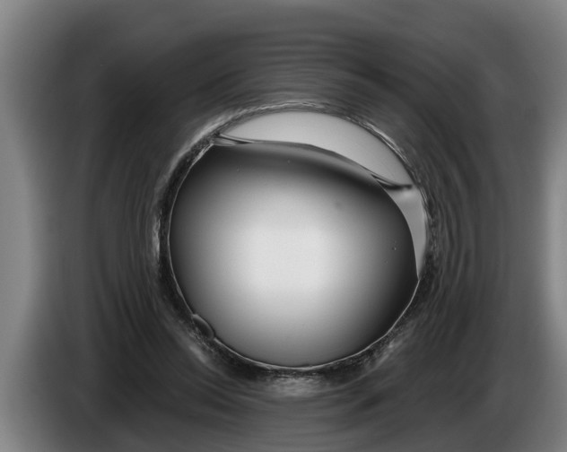 X0000086320350200704202026