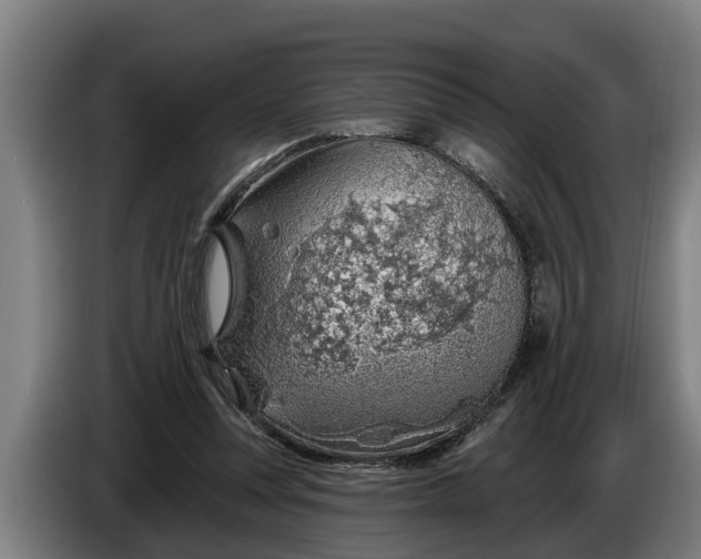 X0000086320351200704202026