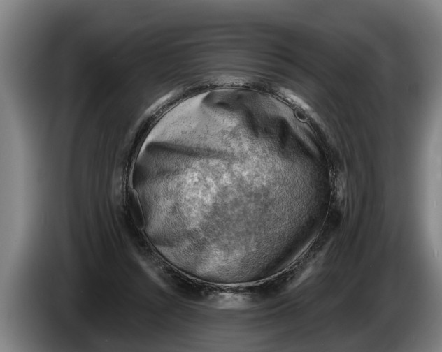 X0000086320352200704202026