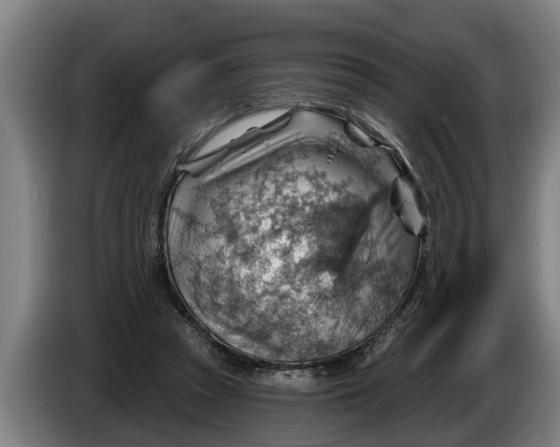 X0000086320353200704202026