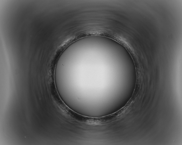 X0000086320354200704202026