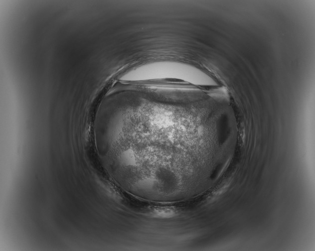 X0000086320355200704202026