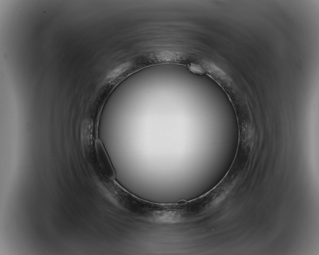 X0000086320356200704202026