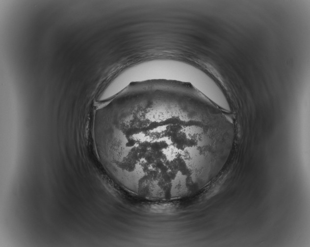 X0000086320357200704202026