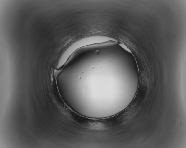 X0000086320358200704202026