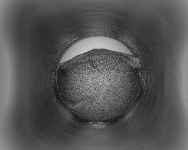 X0000086320359200704202026