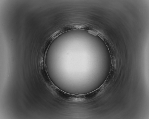 X0000086320360200704202026