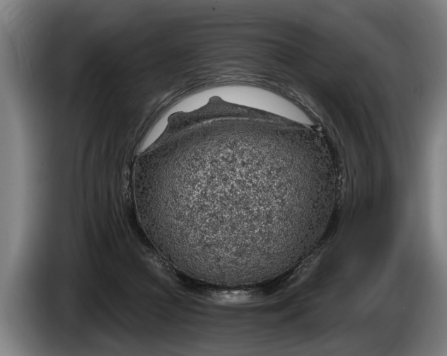 X0000086320361200704202026