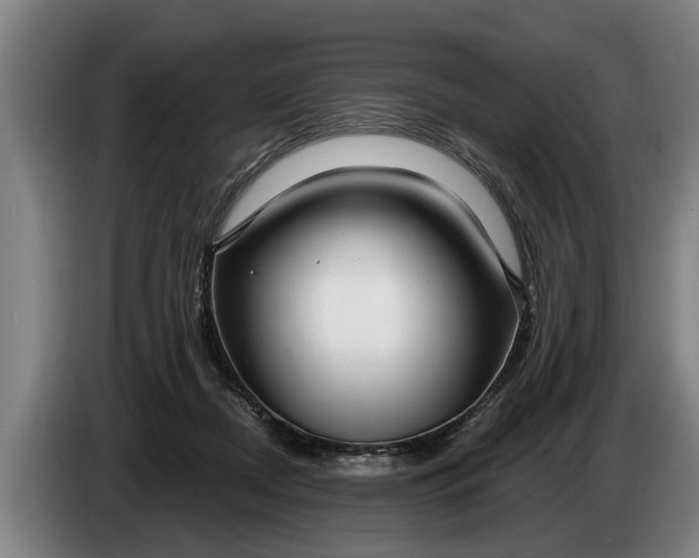 X0000086320362200704202026