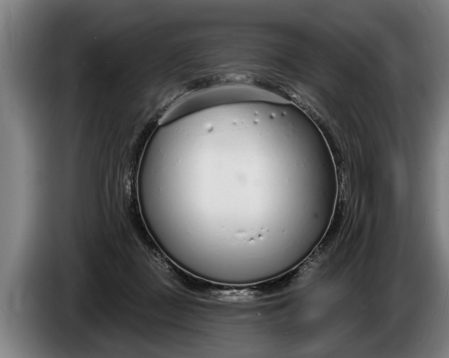 X0000086320363200704202026