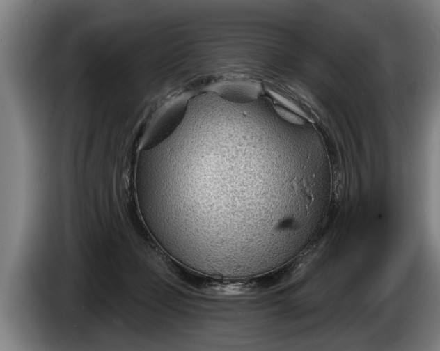 X0000086320365200704202026