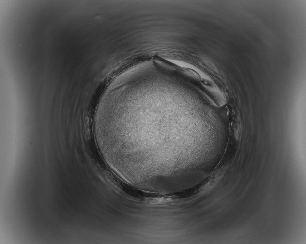 X0000086320366200704202026