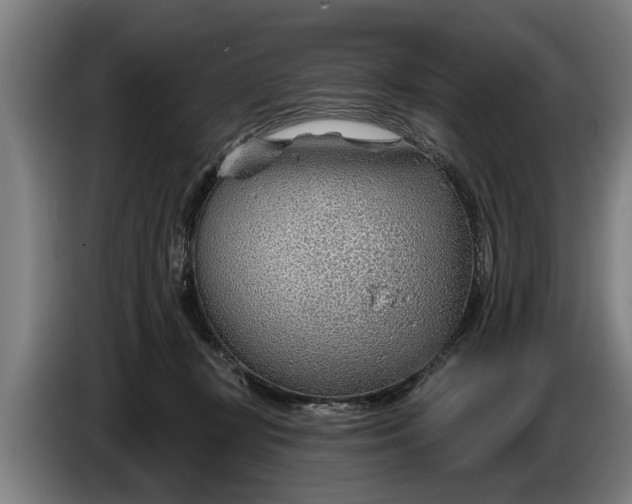 X0000086320367200704202026