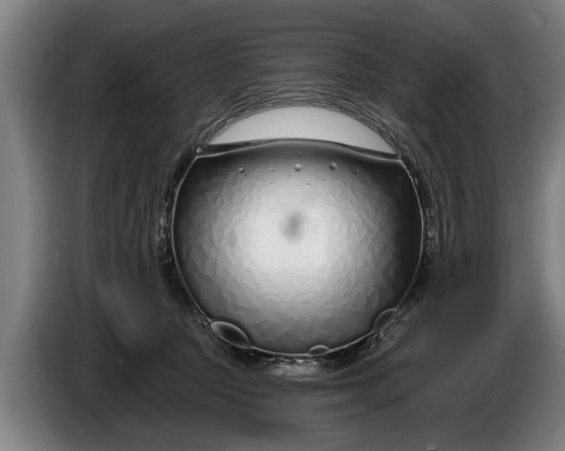 X0000086320369200704202026