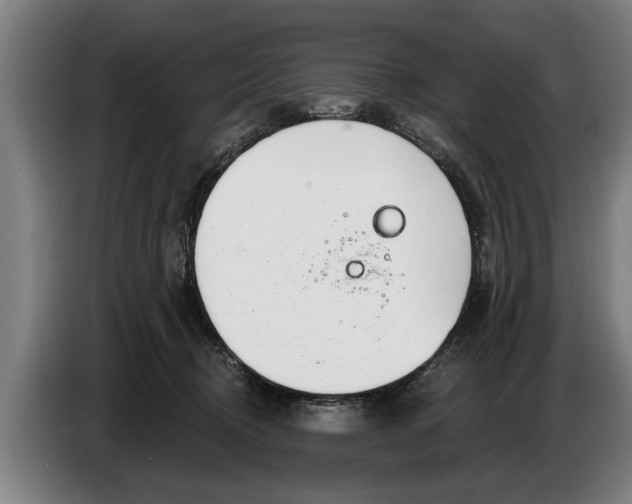 X0000086320370200704202026