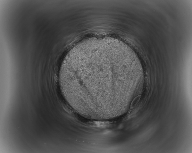 X0000086320371200704202026