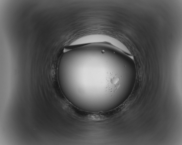 X0000086320372200704202026