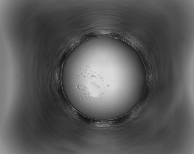 X0000086320373200704202026