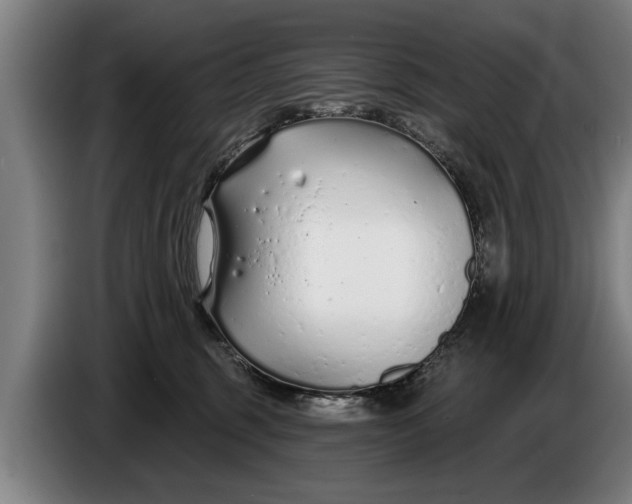 X0000086320375200704202026