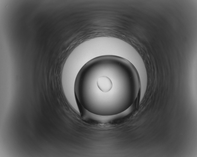 X0000086320376200704202026