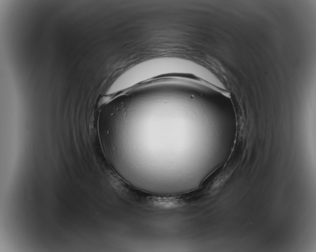 X0000086320377200704202026