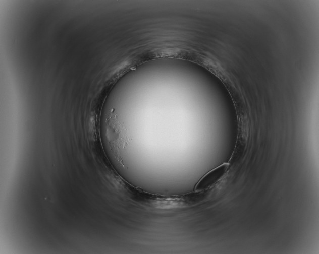 X0000086320378200704202026