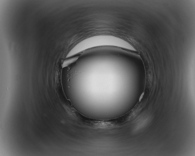 X0000086320379200704202026