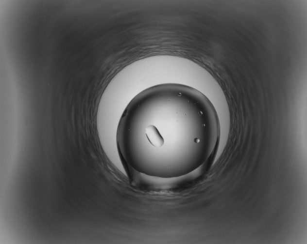 X0000086320380200704202027