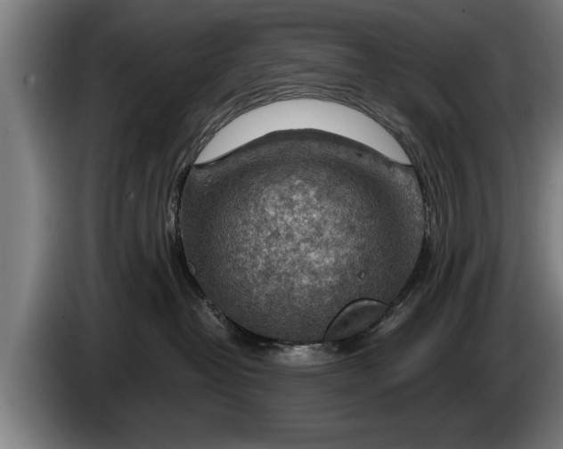 X0000086320382200704202027