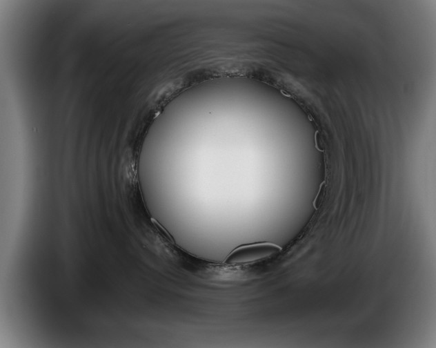 X0000086320384200704202027