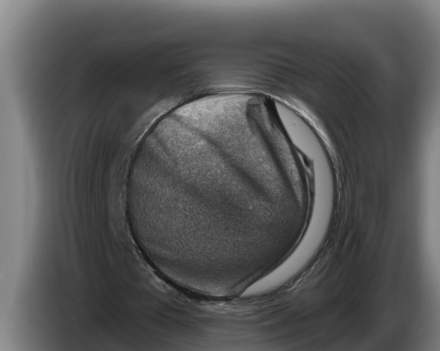 X0000086320385200704202026