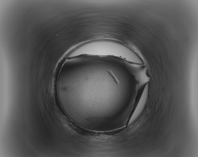 X0000086320387200704202026