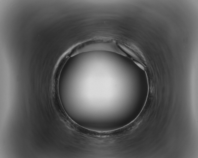 X0000086320388200704202026