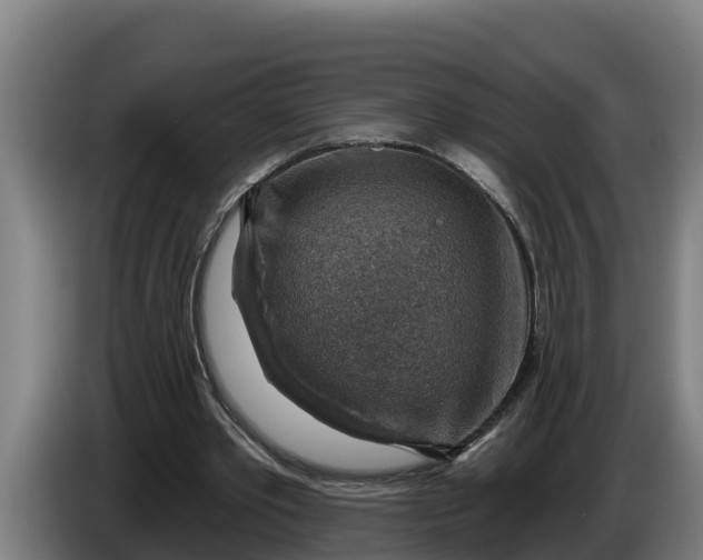 X0000086320389200704202026