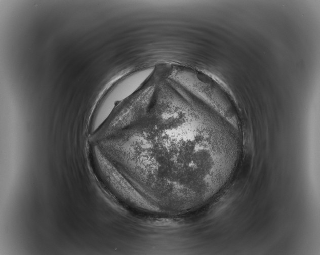 X0000086320390200704202026