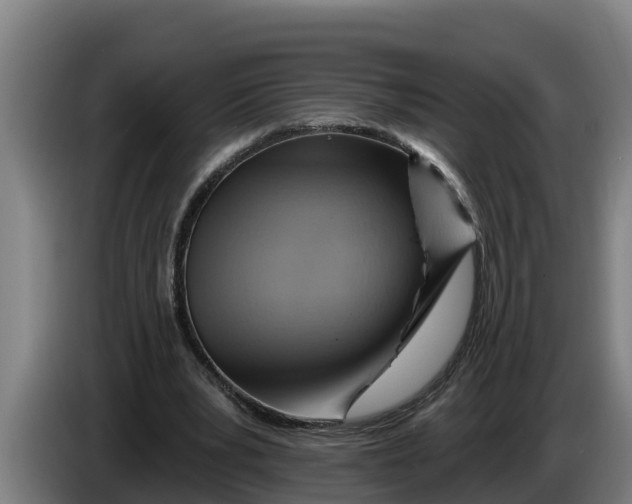 X0000086320391200704202026