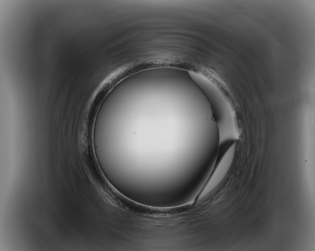 X0000086320392200704202026