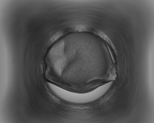 X0000086320393200704202026