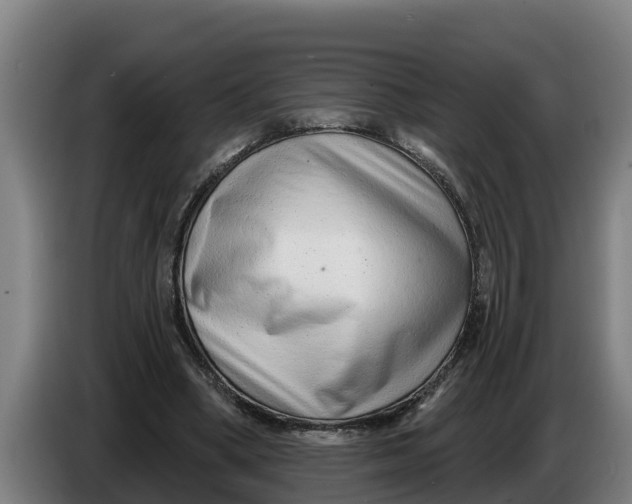 X0000086320394200704202026