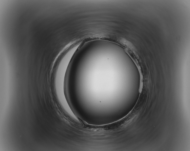 X0000086320395200704202026