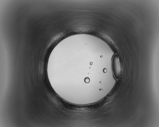 X0000086320396200704202026