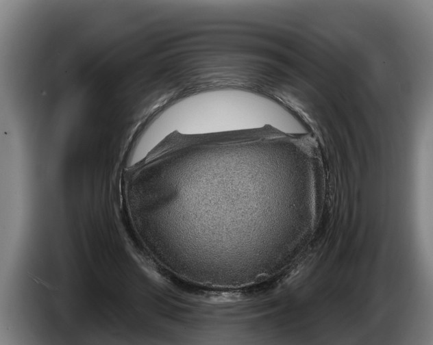 X0000086320398200704202026