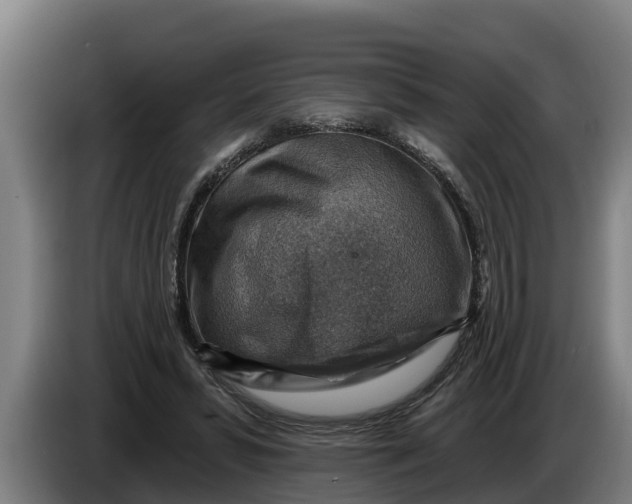 X0000086320399200704202026